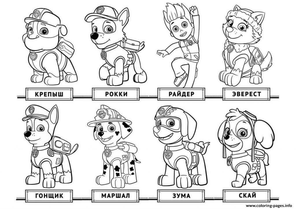 Desenhos para colorir patrulha canina