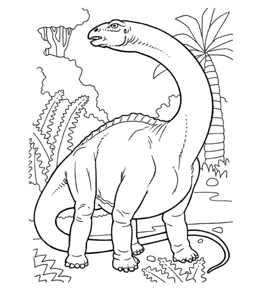 Dinossauro pra colorir