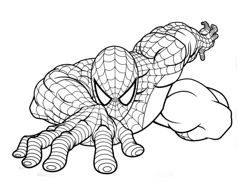 15 desenhos do homem aranha para pintar