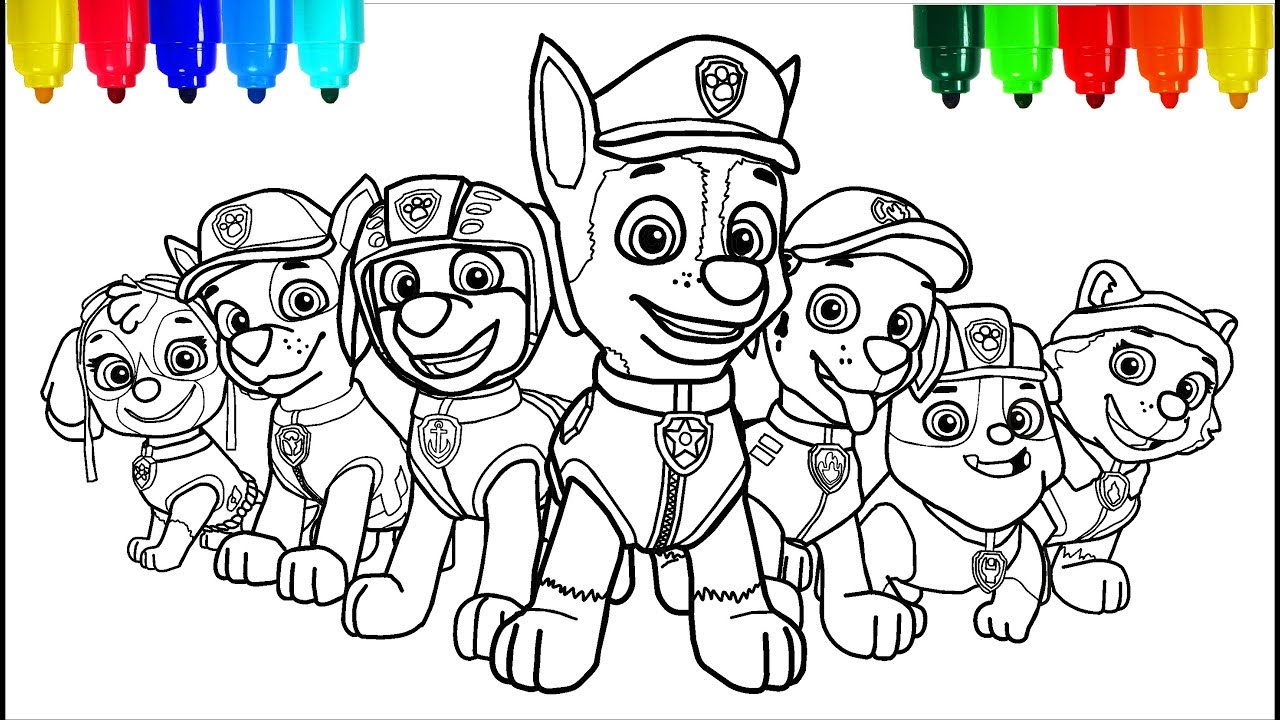 Desenhos da Patrulha Canina para colorir, pintar e imprimir  Patrulha  canina para colorir, Patrulha canina desenho, Aniversário paw patrol