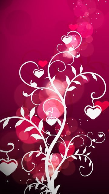 Check out several cute images(HD, 4k) to make your phone more beautiful. Download Cute Wallpapers for Iphone now