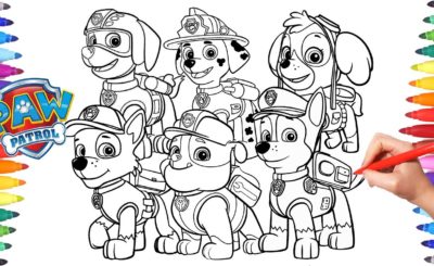 Desenhos para colorir Patrulha Canina