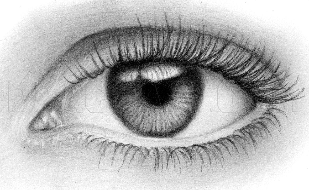 Learn in a simple and easy way how to draw an eye. Follow the steps in the video tutorial.