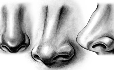 How to draw a nose - learn to draw a nose easy and step by step with this video tutorial. Watch and practice your drawing. Come on!