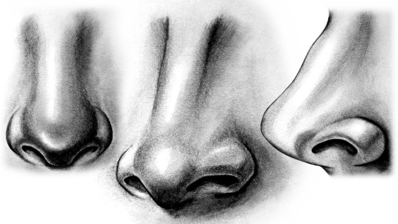 How to draw a nose - learn to draw a nose easy and step by step with this video tutorial. Watch and practice your drawing. Come on!