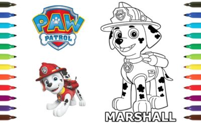 Patrulha Canina para Colorir: Divirta-se com Marshall e Seus Amigos!